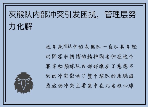 灰熊队内部冲突引发困扰，管理层努力化解